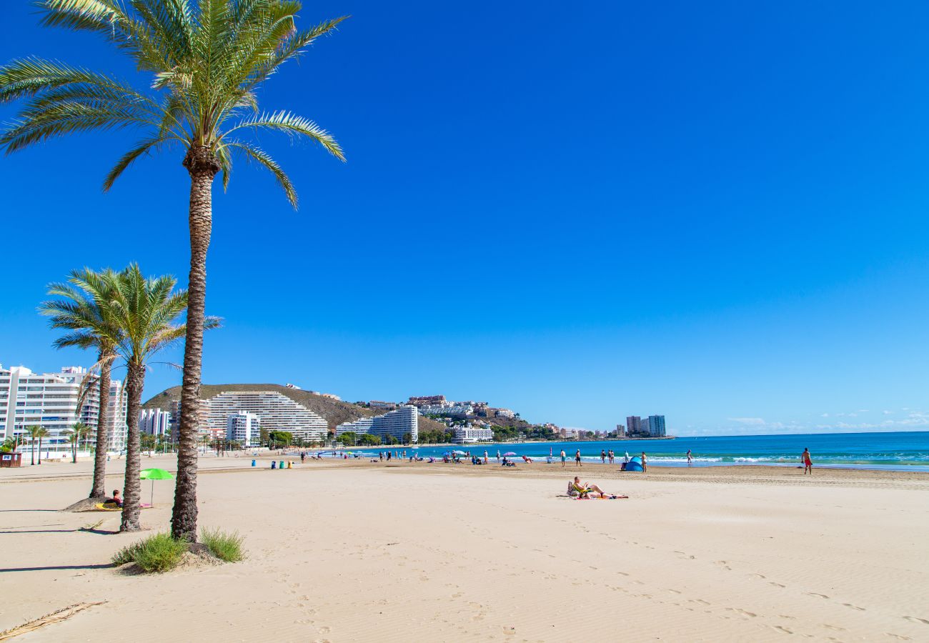 Apartamento en Cullera - Cullera Stunning Sea View Apartment